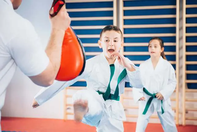 Little Tigers Taekwondo Classes | Lupo Taekwondo Downingtown