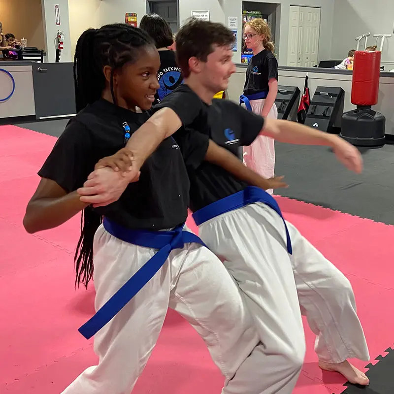 Teen Martial Arts Classes | Lupo Taekwondo Downingtown